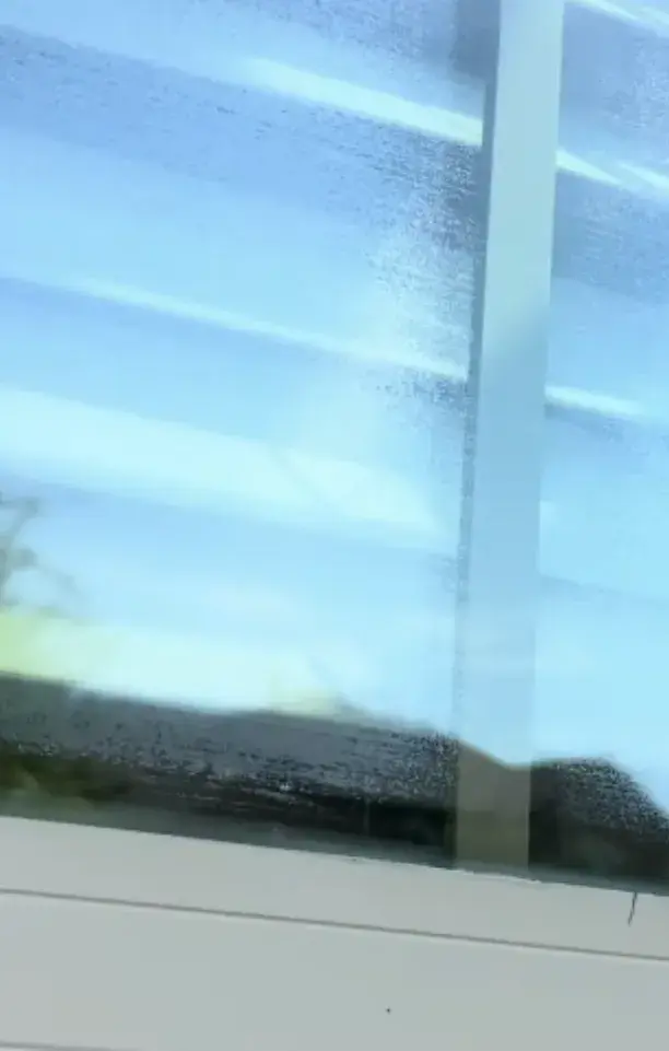 Foggy Window
