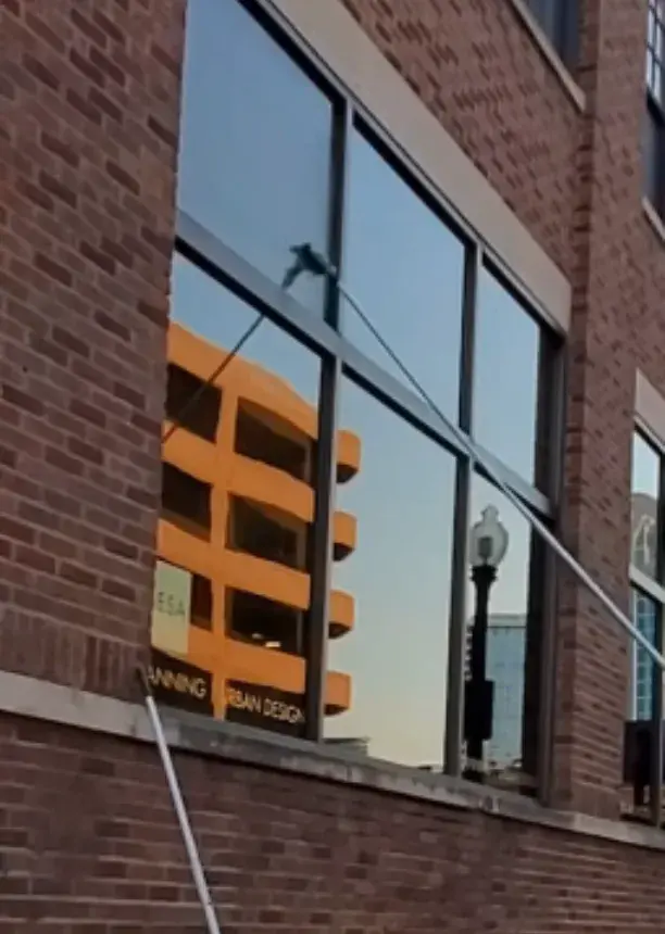 storefront window cleaning