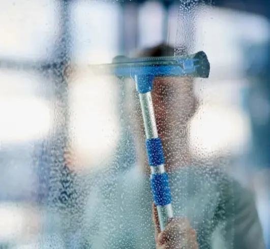 Window Cleaning Dana Point Window Cleaning Dana Point